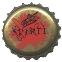 Schweppes Spirit Naranja