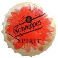 Schweppes Spirit Naranja