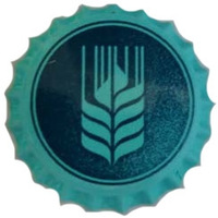 Espiga Blonde Ale