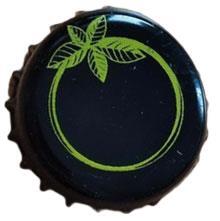 Paraíso Kombucha
