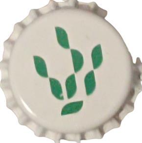 Sailor IPA